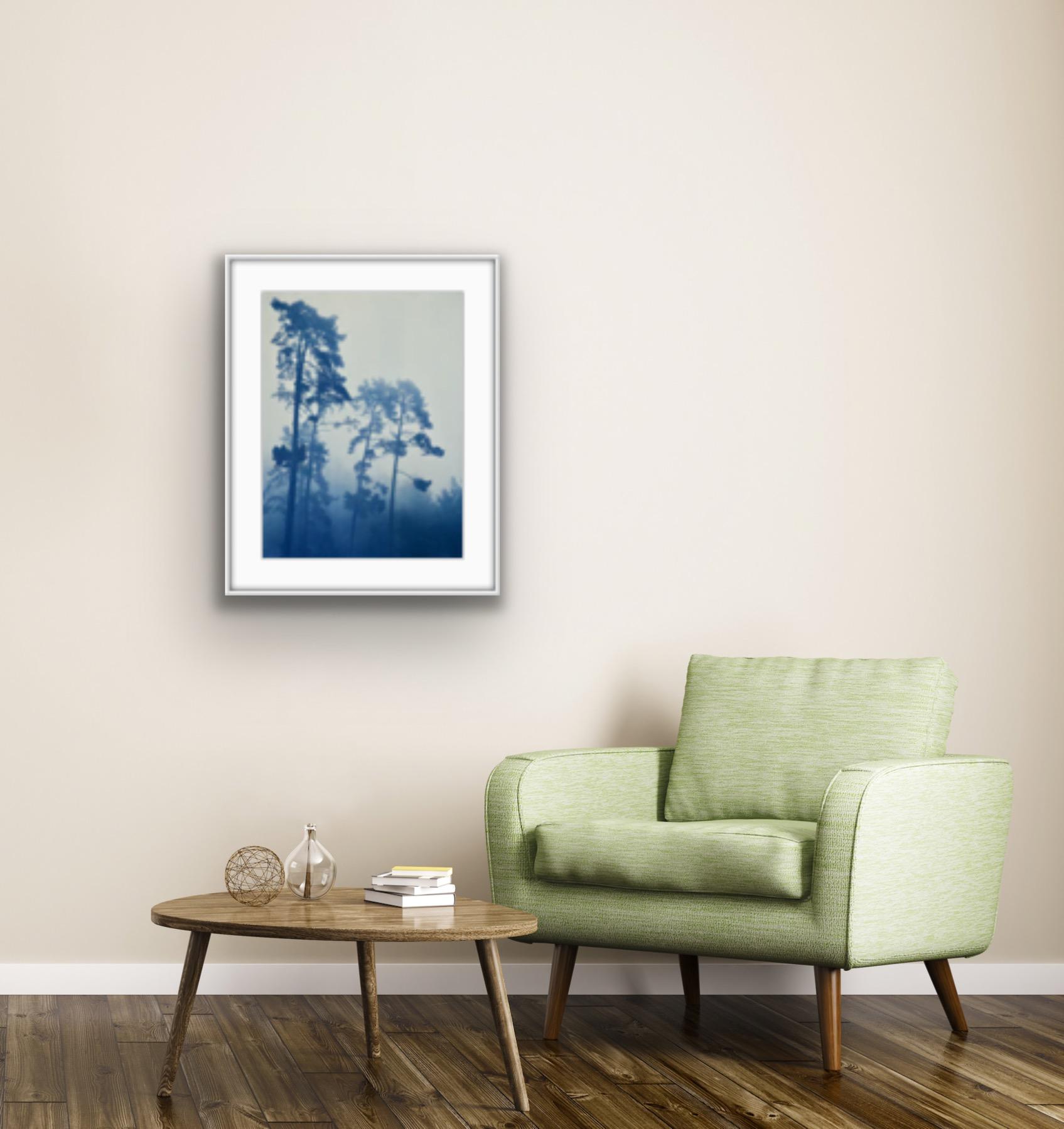 Foggy Morning Pines (Handgedruckte Original-Cyanotypie, 24 x 18 Zoll) (Naturalismus), Photograph, von Christine So