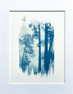 Lights (cyanotype teinté à la main, 12 x 9" maté à 14 x 11")