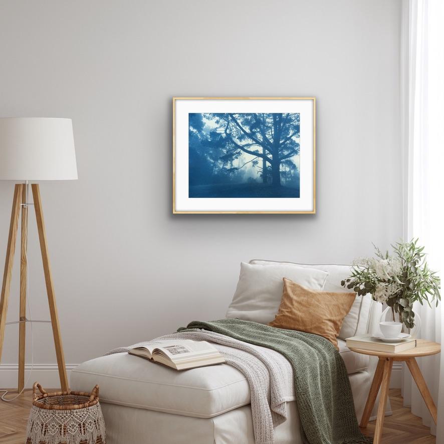 Forest Sunrise (Hand-printed cyanotype, 18 x 24 inches) - Blue Landscape Print by Christine So