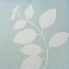 Grüne Holunderblüte II (12 x 12 Zoll Monotypie)