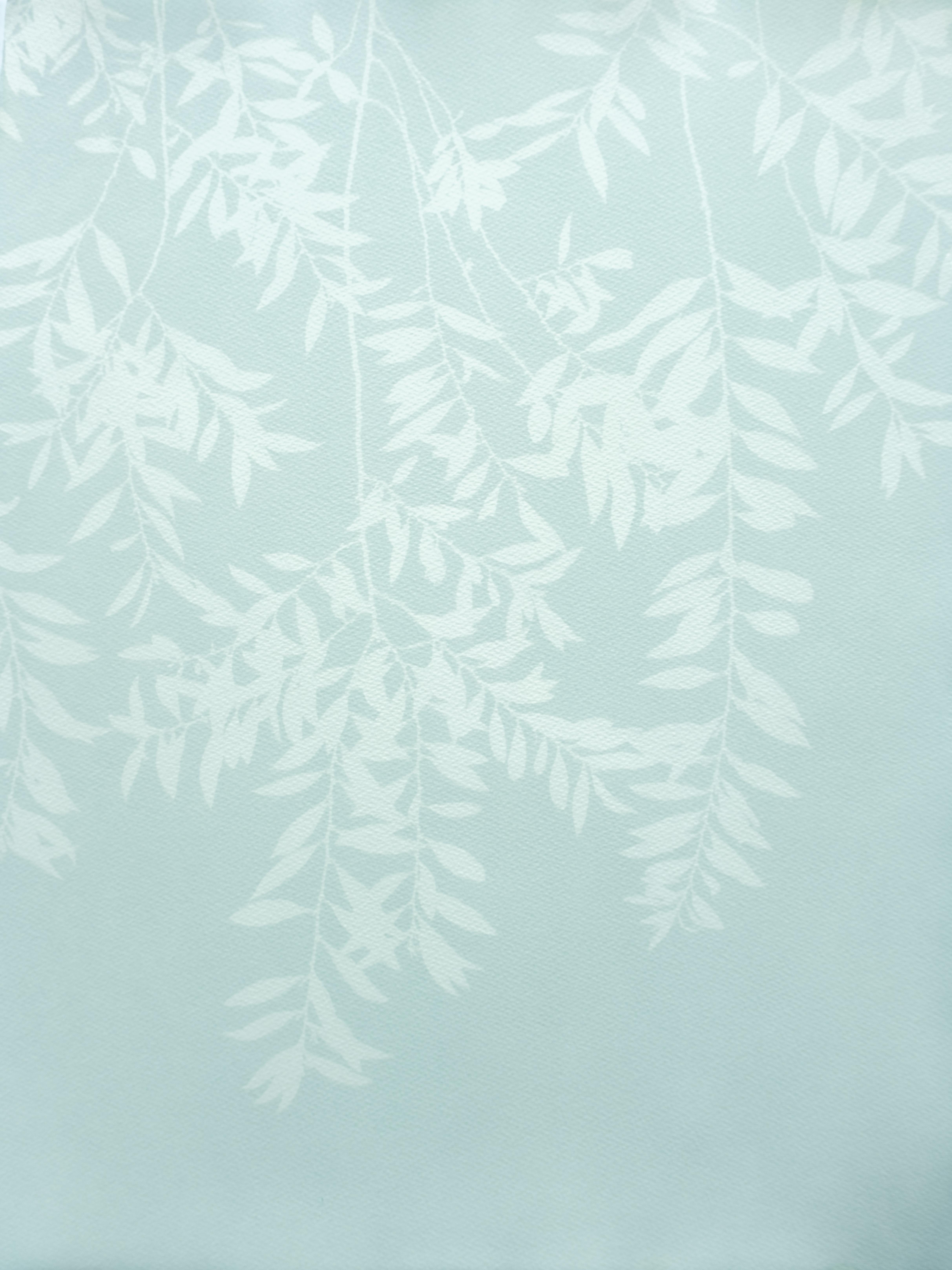 Green Willow I (24 x 18 inch hand-printed cyanotype) - Photograph by Christine So