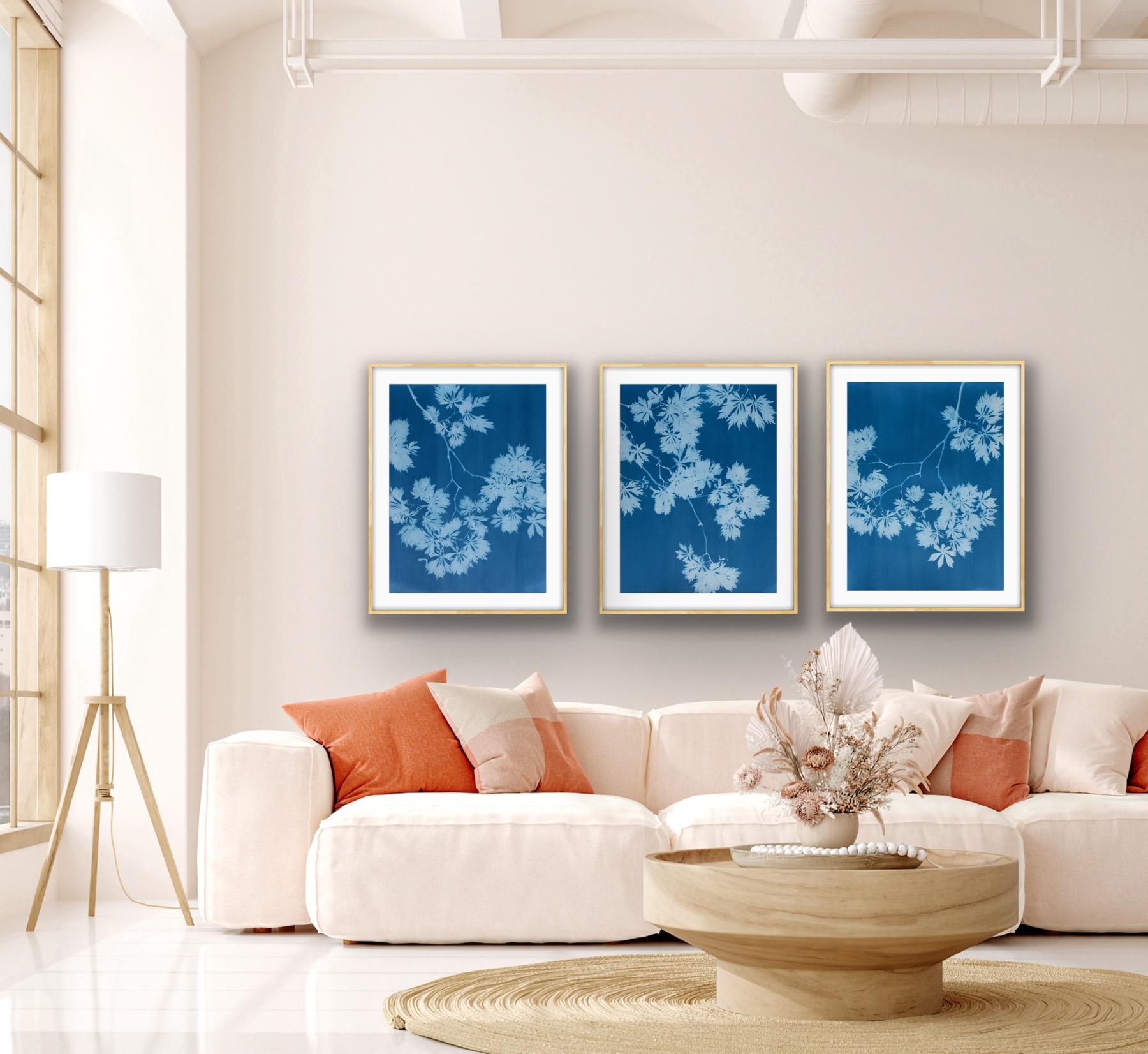 Indigo Maple Triptych (3 hand-printed botanical cyanotypes, 24 x 18 in. each) For Sale 3