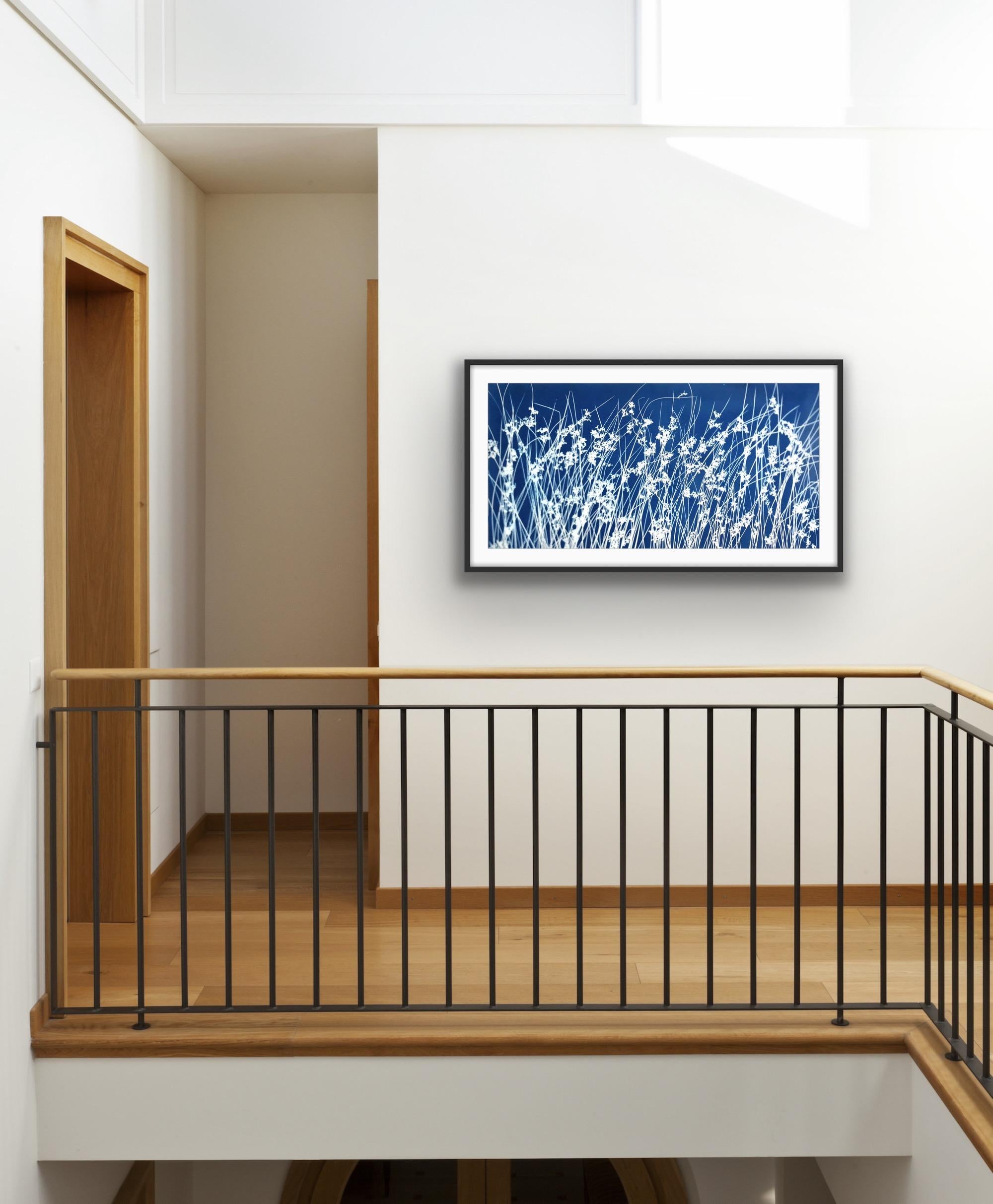 Brezza di giugno (cianotipo botanico stampato a mano, 18 x 36 pollici) in vendita 13