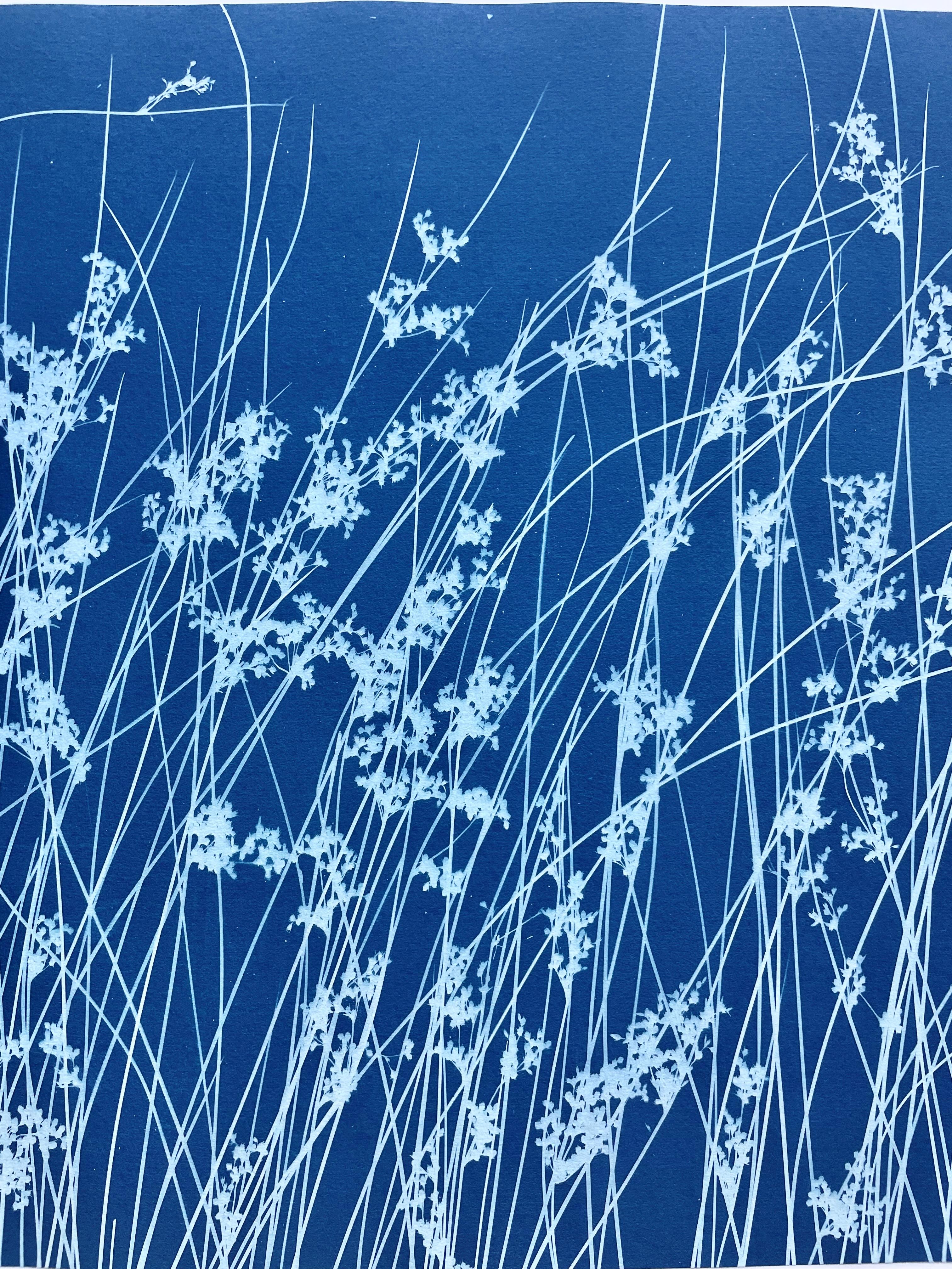 Brezza di giugno (cianotipo botanico stampato a mano, 18 x 36 pollici) in vendita 5