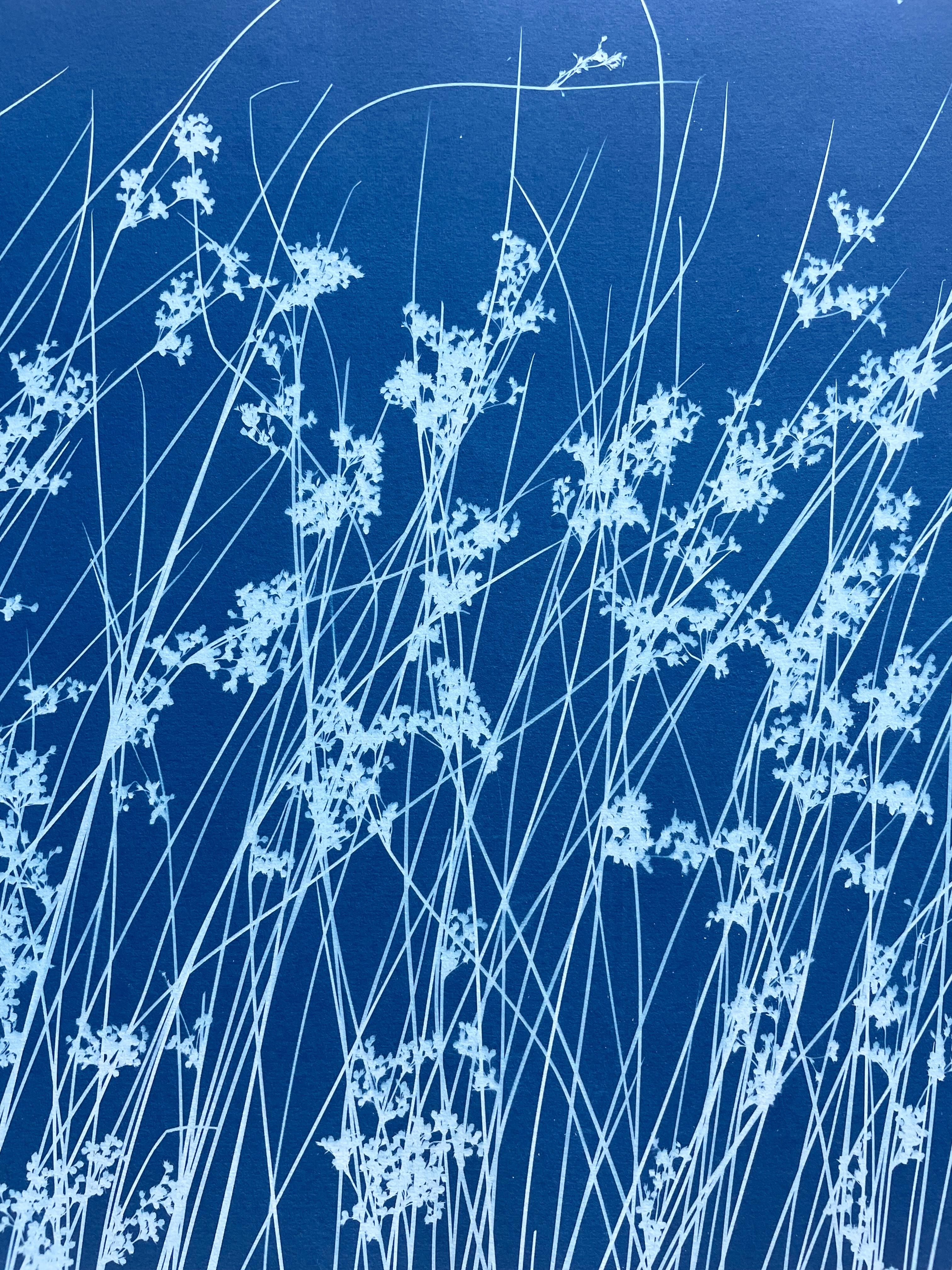 Brezza di giugno (cianotipo botanico stampato a mano, 18 x 36 pollici) in vendita 6