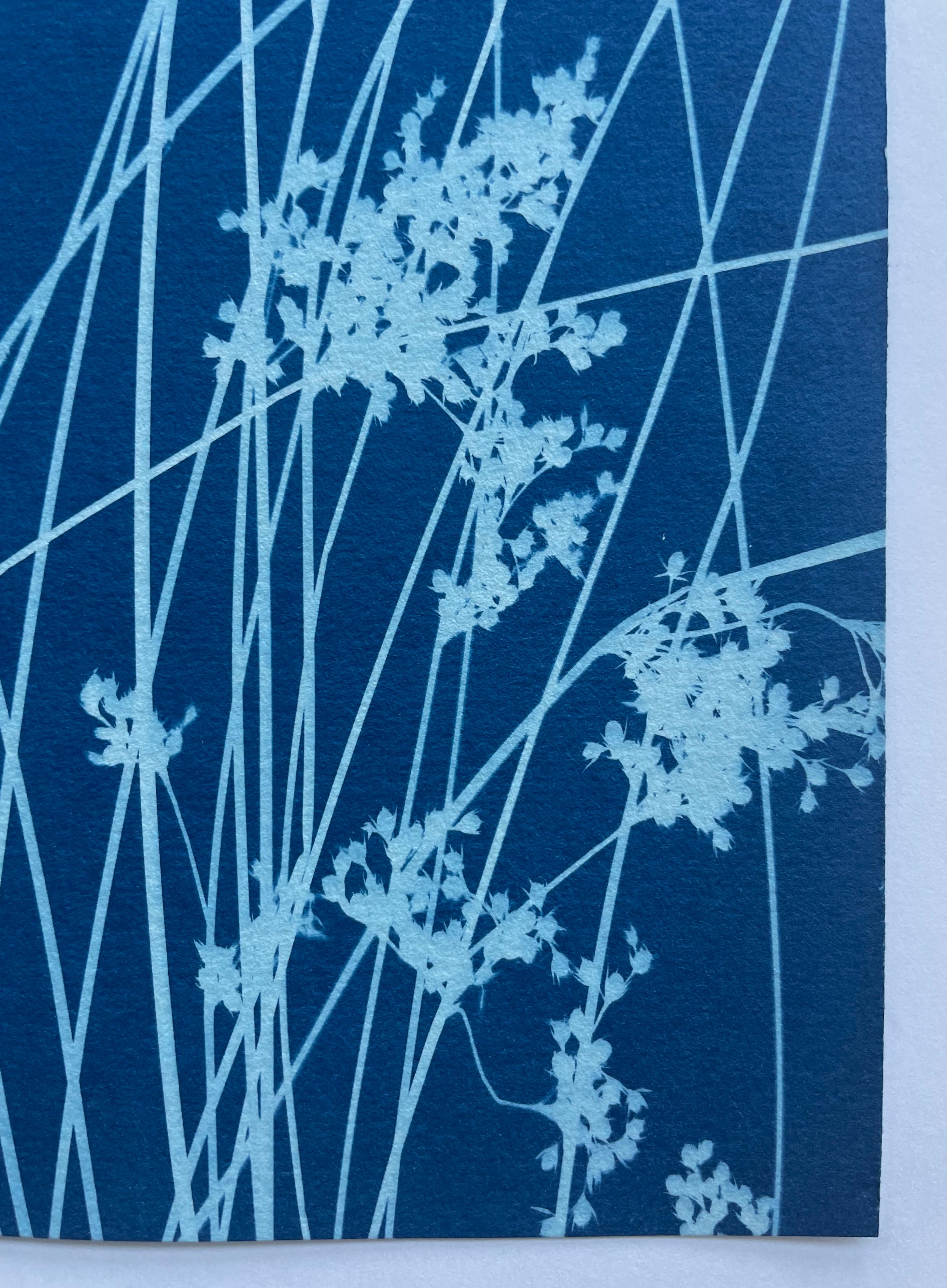 Brezza di giugno (cianotipo botanico stampato a mano, 18 x 36 pollici) in vendita 7