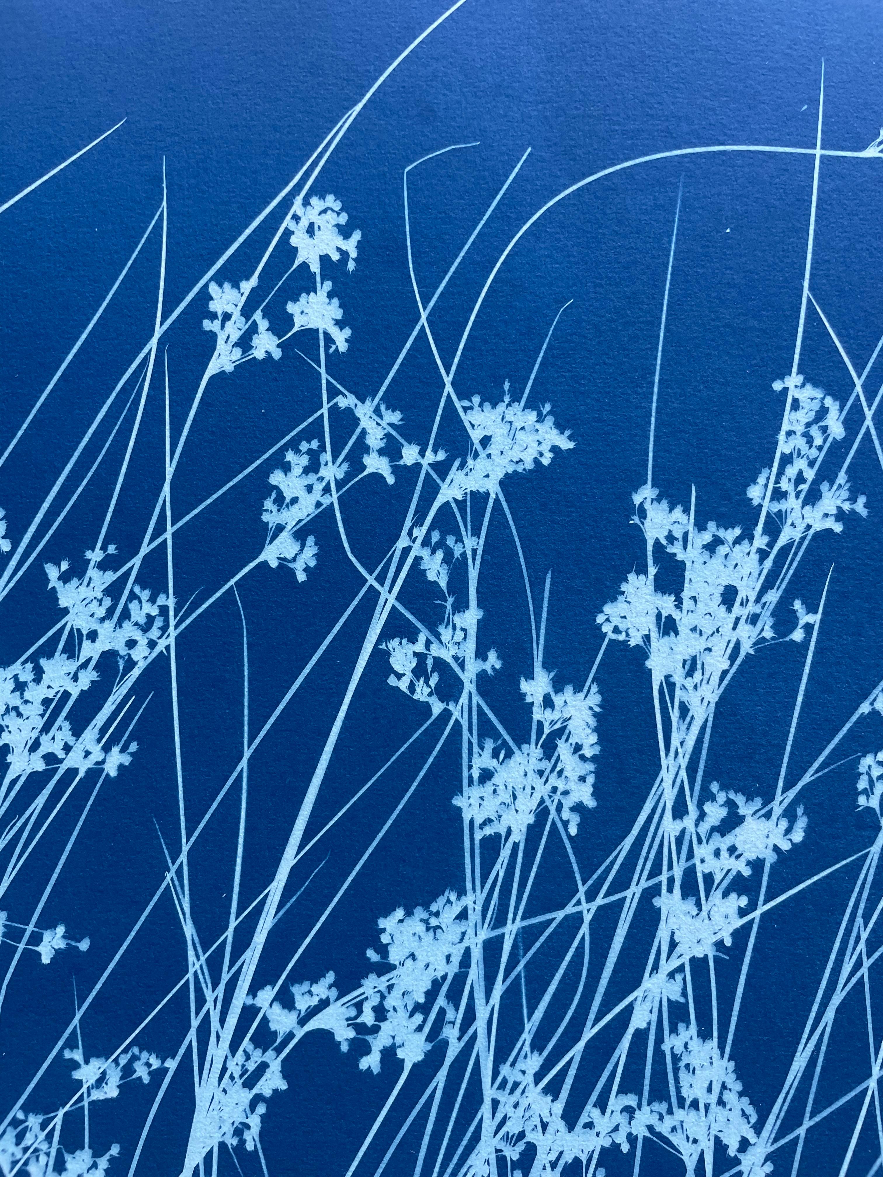 Brezza di giugno (cianotipo botanico stampato a mano, 18 x 36 pollici) - Still-Life Photograph Blu di Christine So