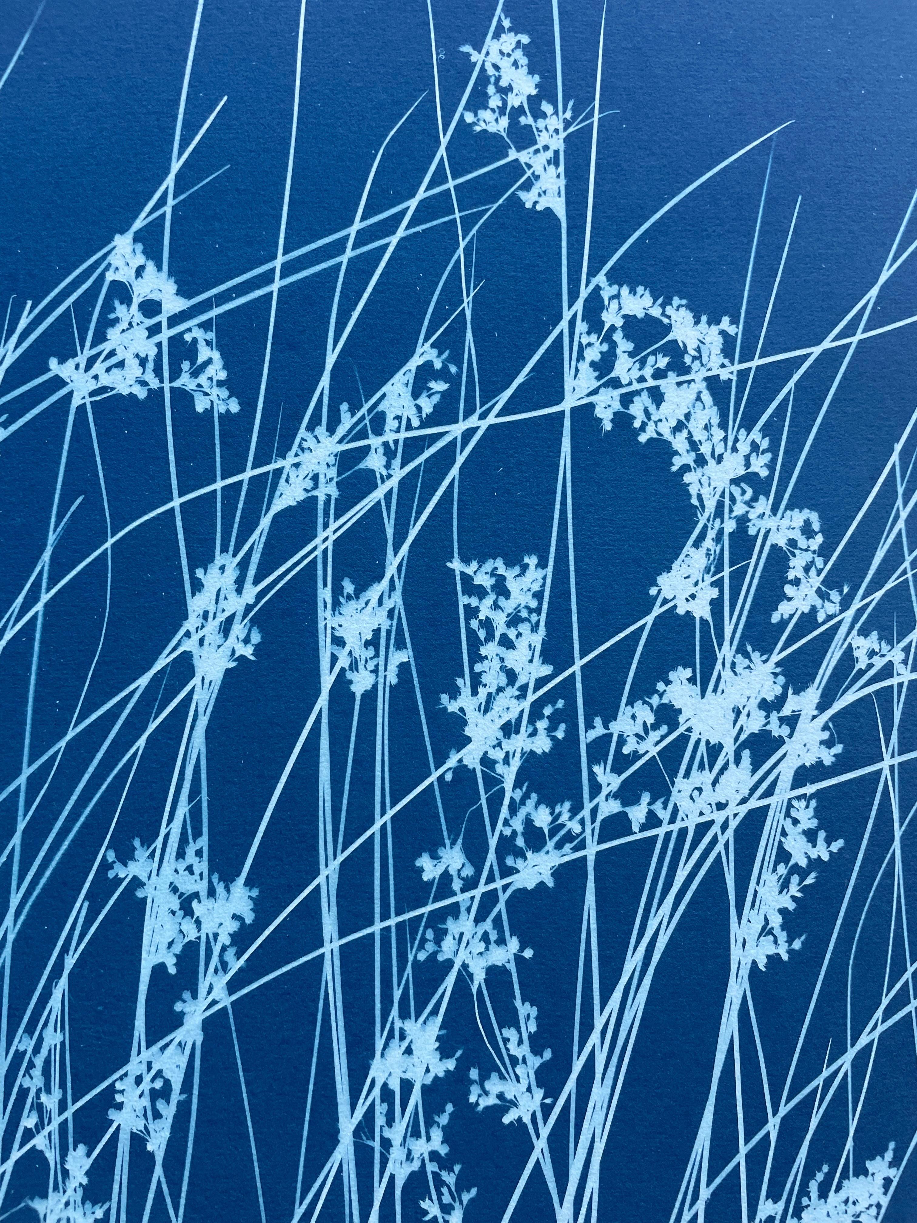 Brezza di giugno (cianotipo botanico stampato a mano, 18 x 36 pollici) in vendita 1