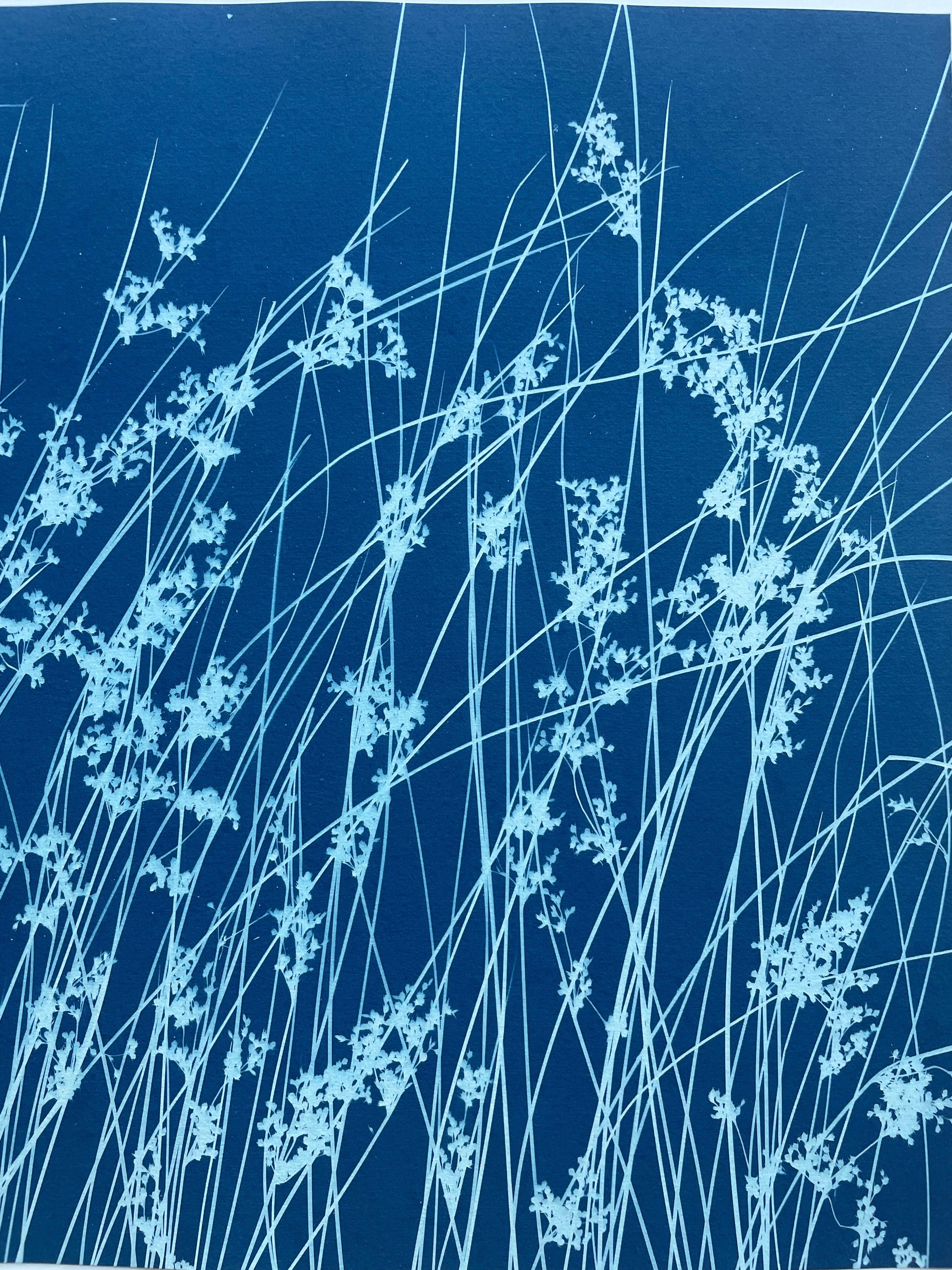 Brezza di giugno (cianotipo botanico stampato a mano, 18 x 36 pollici) in vendita 2