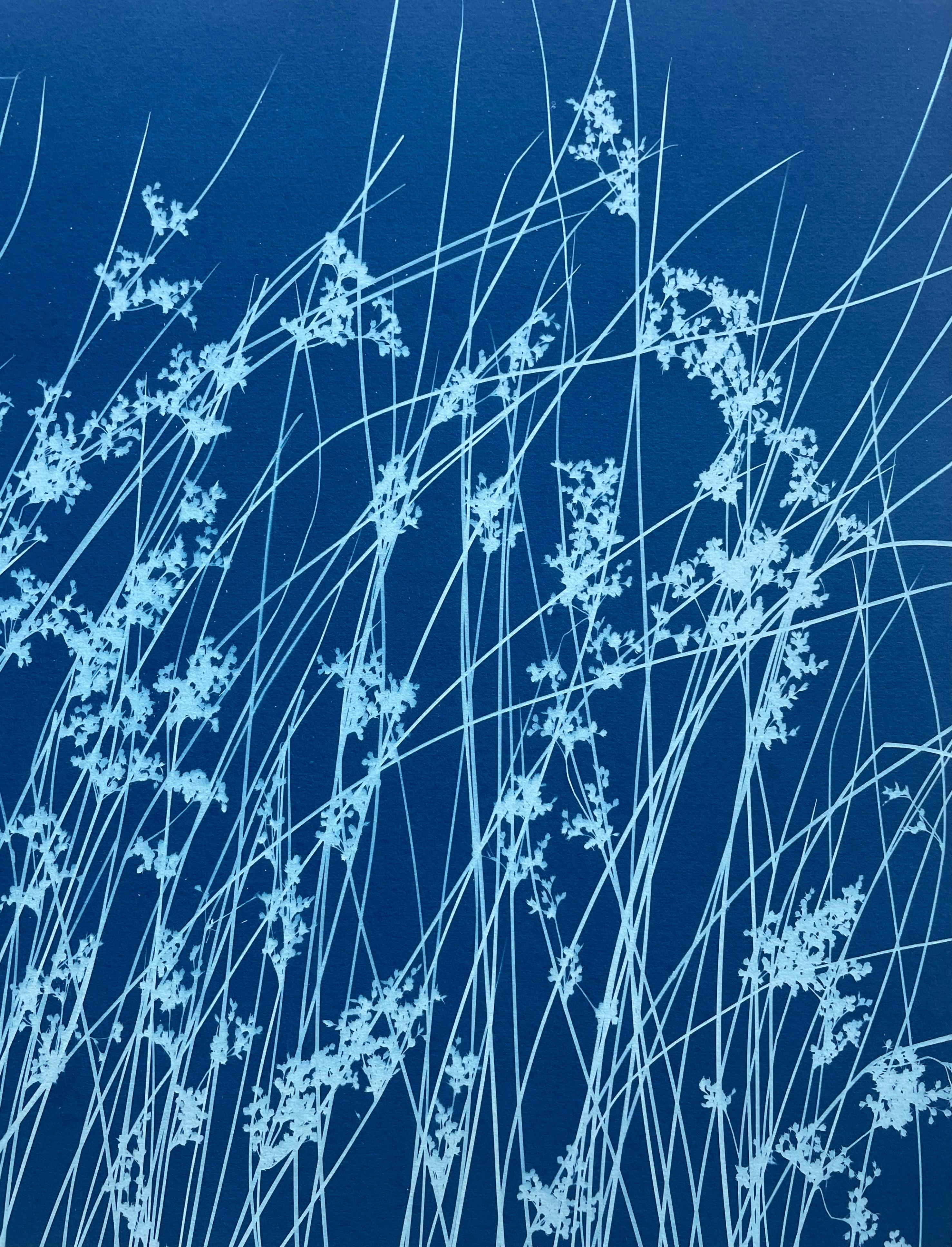 Brezza di giugno (cianotipo botanico stampato a mano, 18 x 36 pollici) in vendita 3