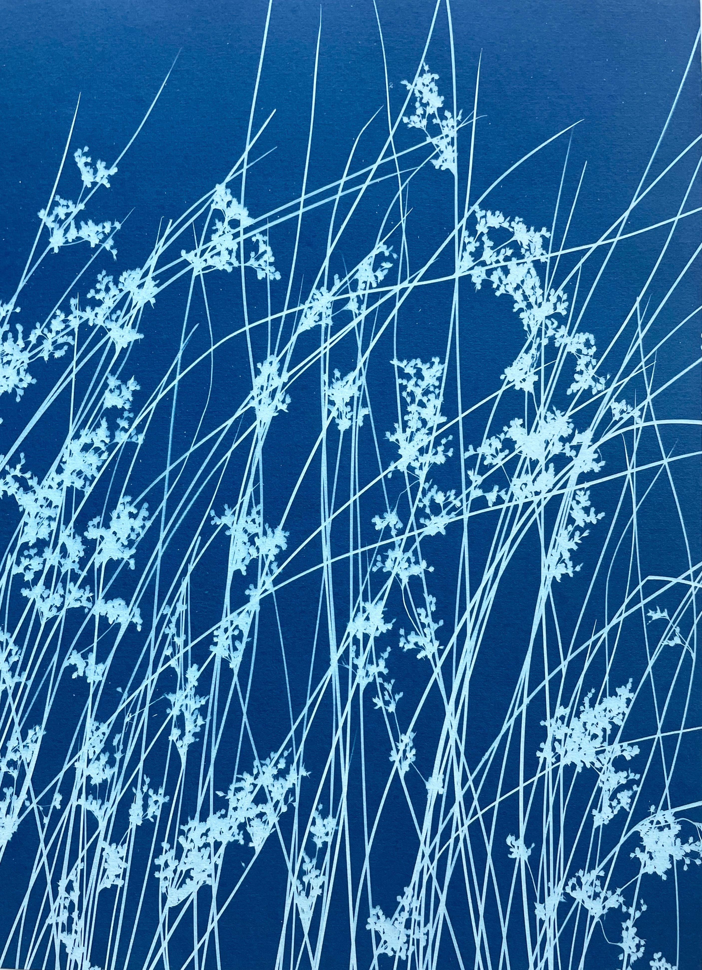 Brezza di giugno (cianotipo botanico stampato a mano, 18 x 36 pollici) in vendita 4