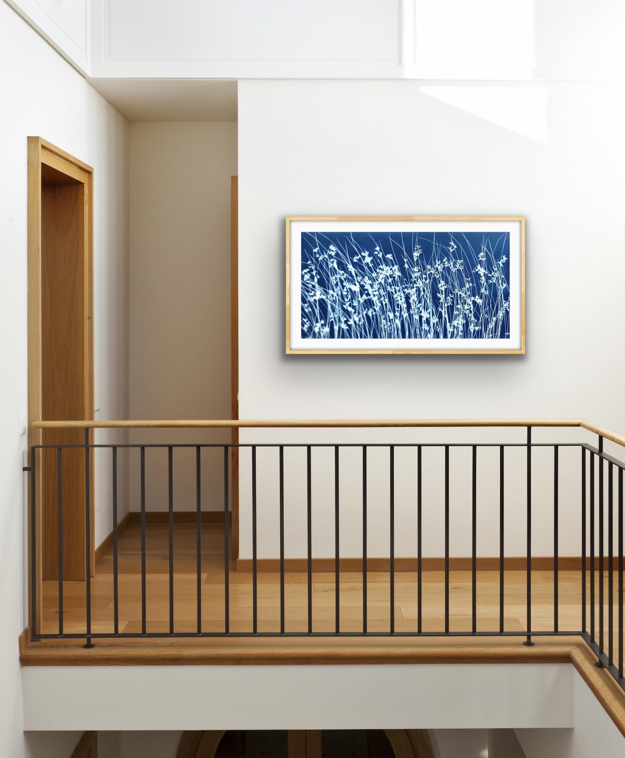 Hierba silvestre de junio (cianotipia botánica impresa a mano, 18 x 36 pulgadas) - Print de Christine So