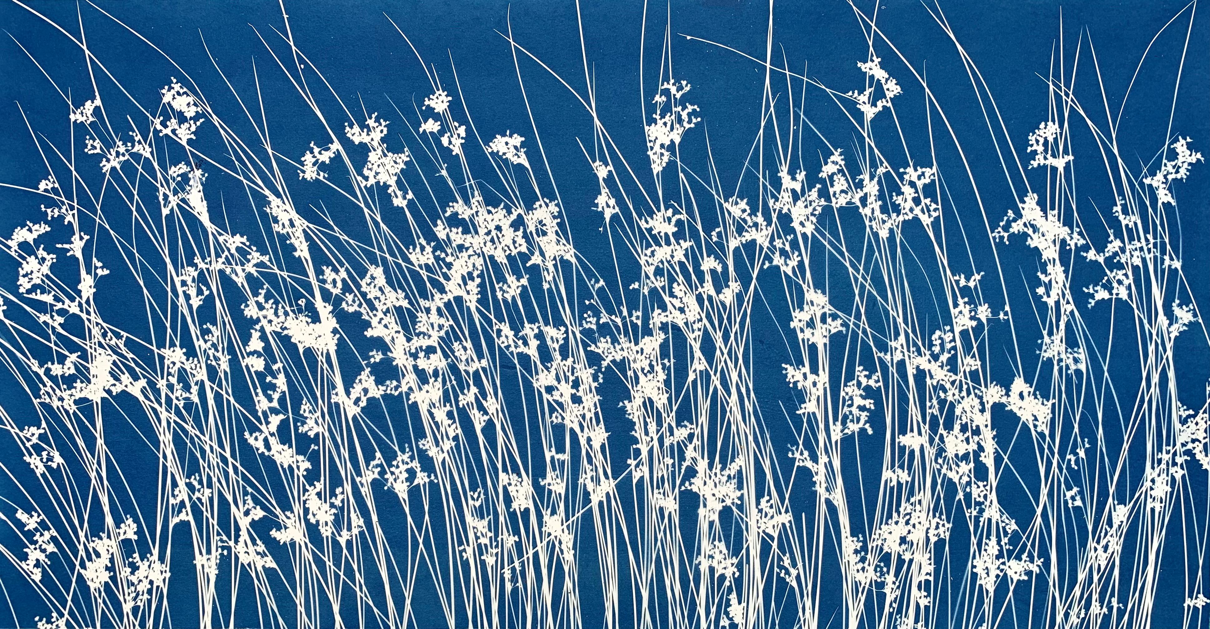 Hierba silvestre de junio (cianotipia botánica impresa a mano, 18 x 36 pulgadas)