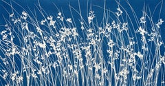 June Wild Grass (hand-printed botanical cyanotype, 18 x 36 inches)