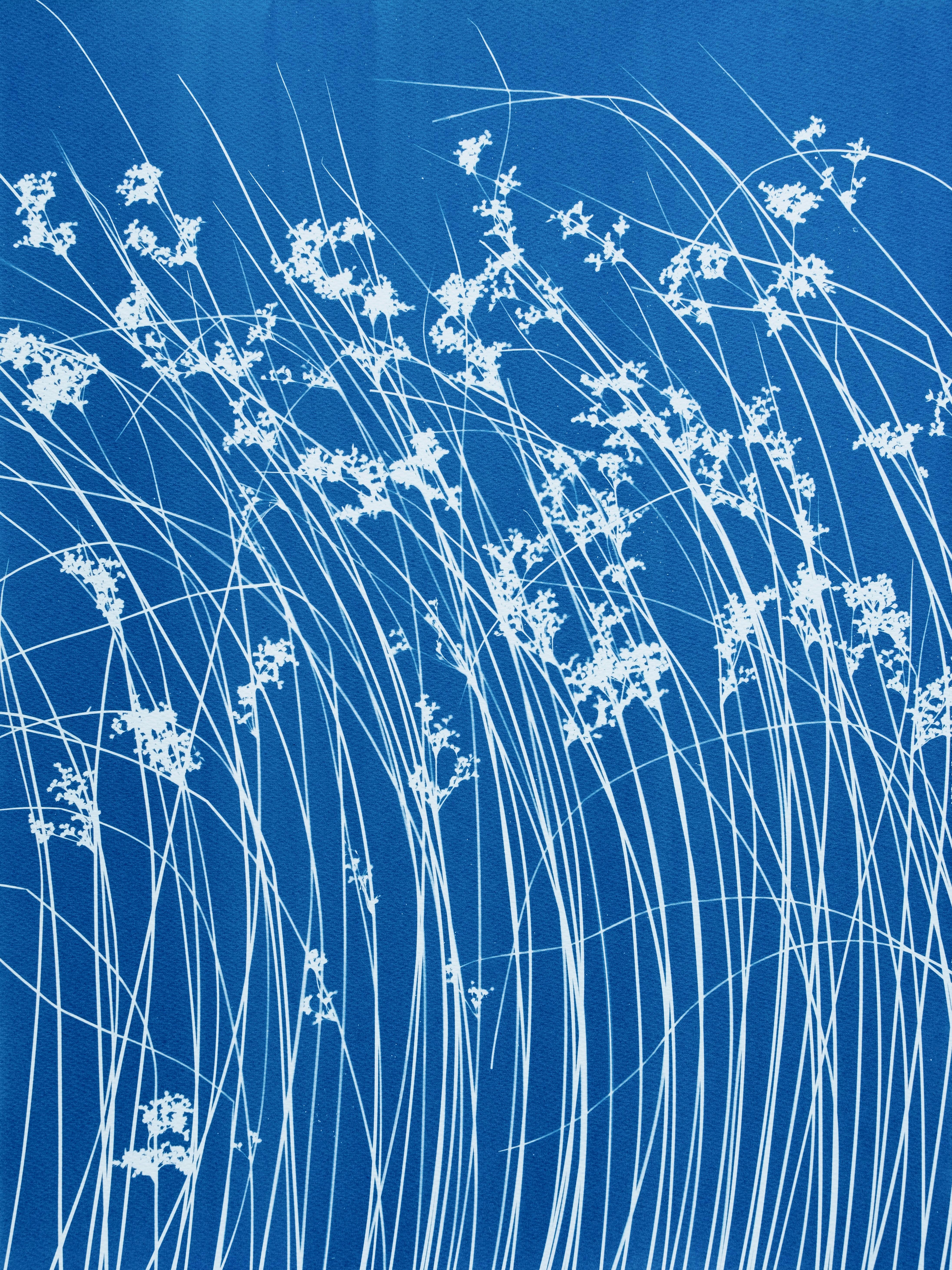 Late Summer Wild Grass Diptych  (two 24 x 18