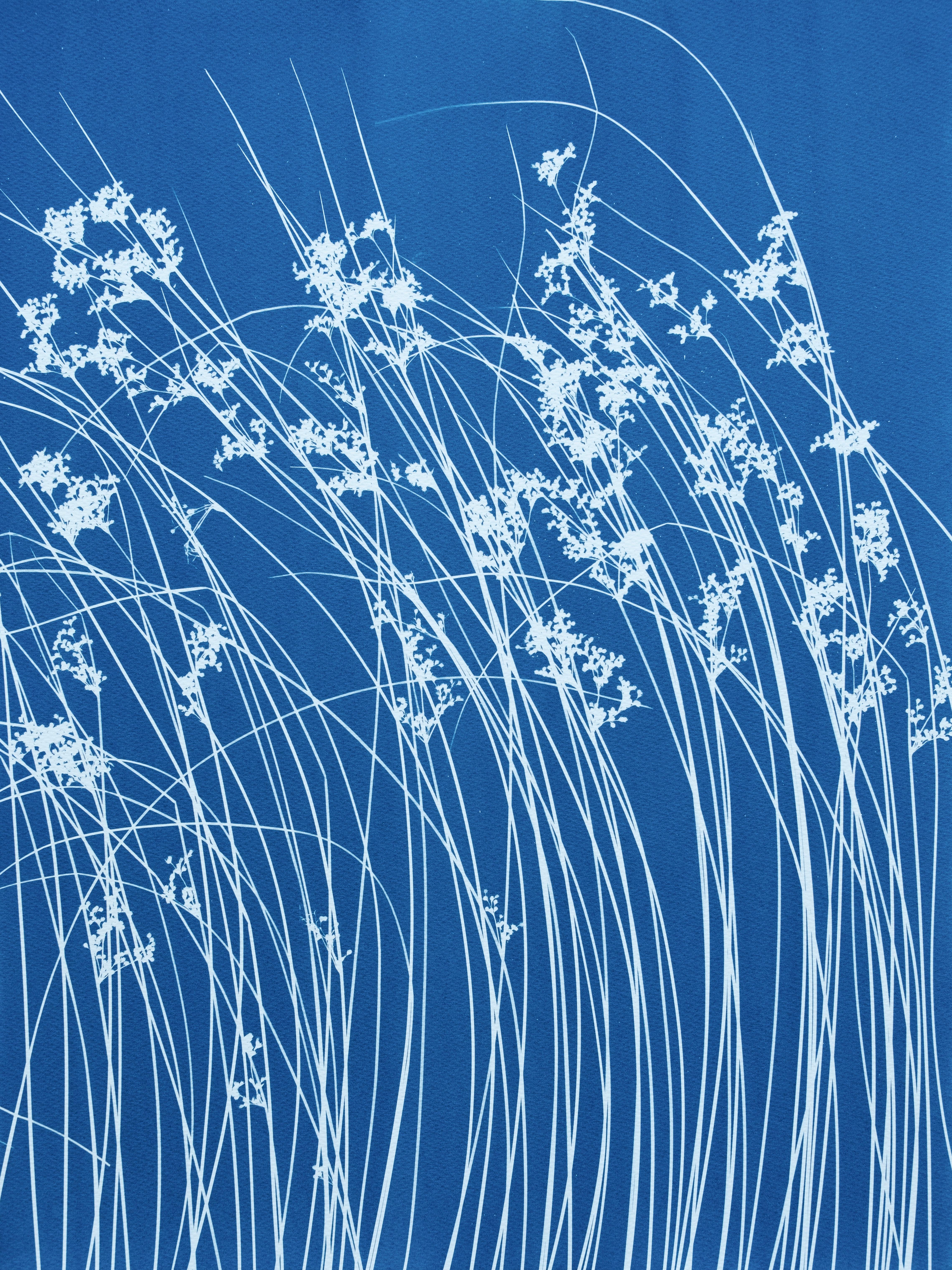 Late Summer Wild Grass Diptych  (two 24 x 18