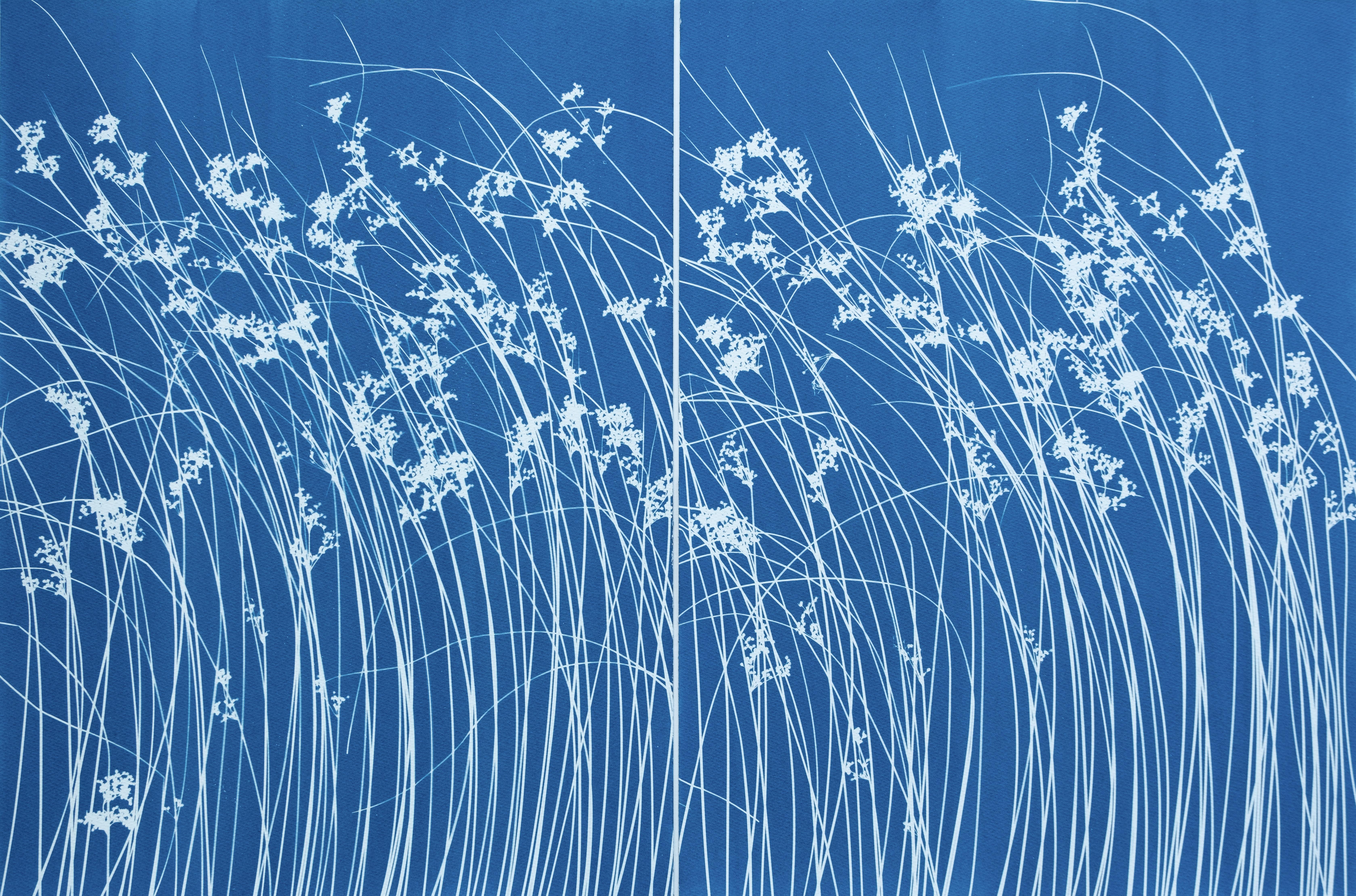 Christine So Still-Life Print - Late Summer Wild Grass Diptych  (two 24 x 18" original cyanotypes)
