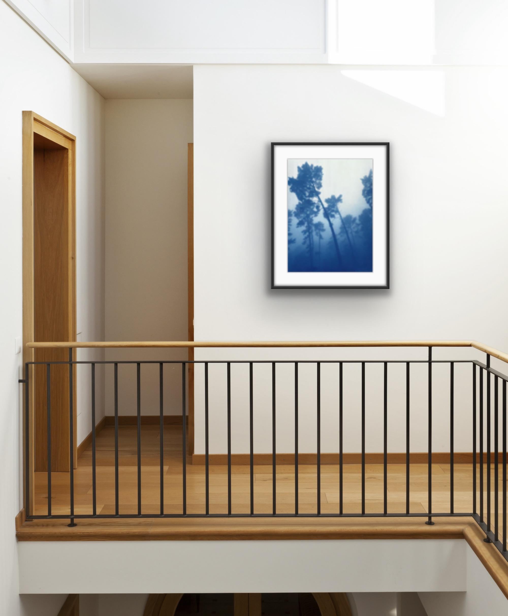 Leaning Pines (Handgedruckte Cyanotypie, 24 x 18 Zoll) – Print von Christine So