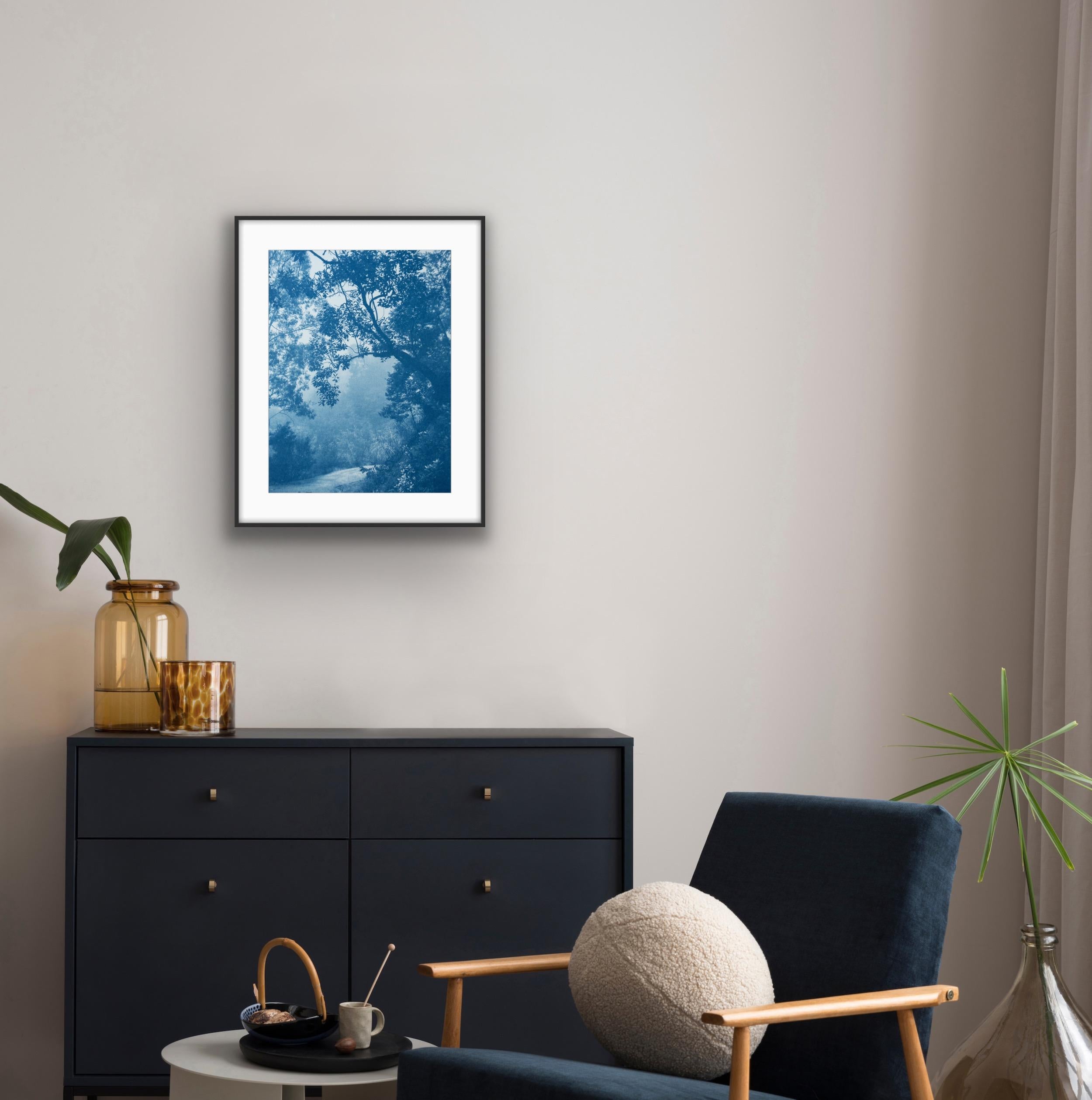 Madrone Tree  (hand-printed cyanotype, 24 x 18 inches) 1