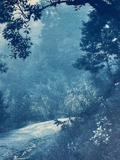 Madrone Tree Cyanotype Photograph, Hand-Printed, Edition 8/10, 24x18\"