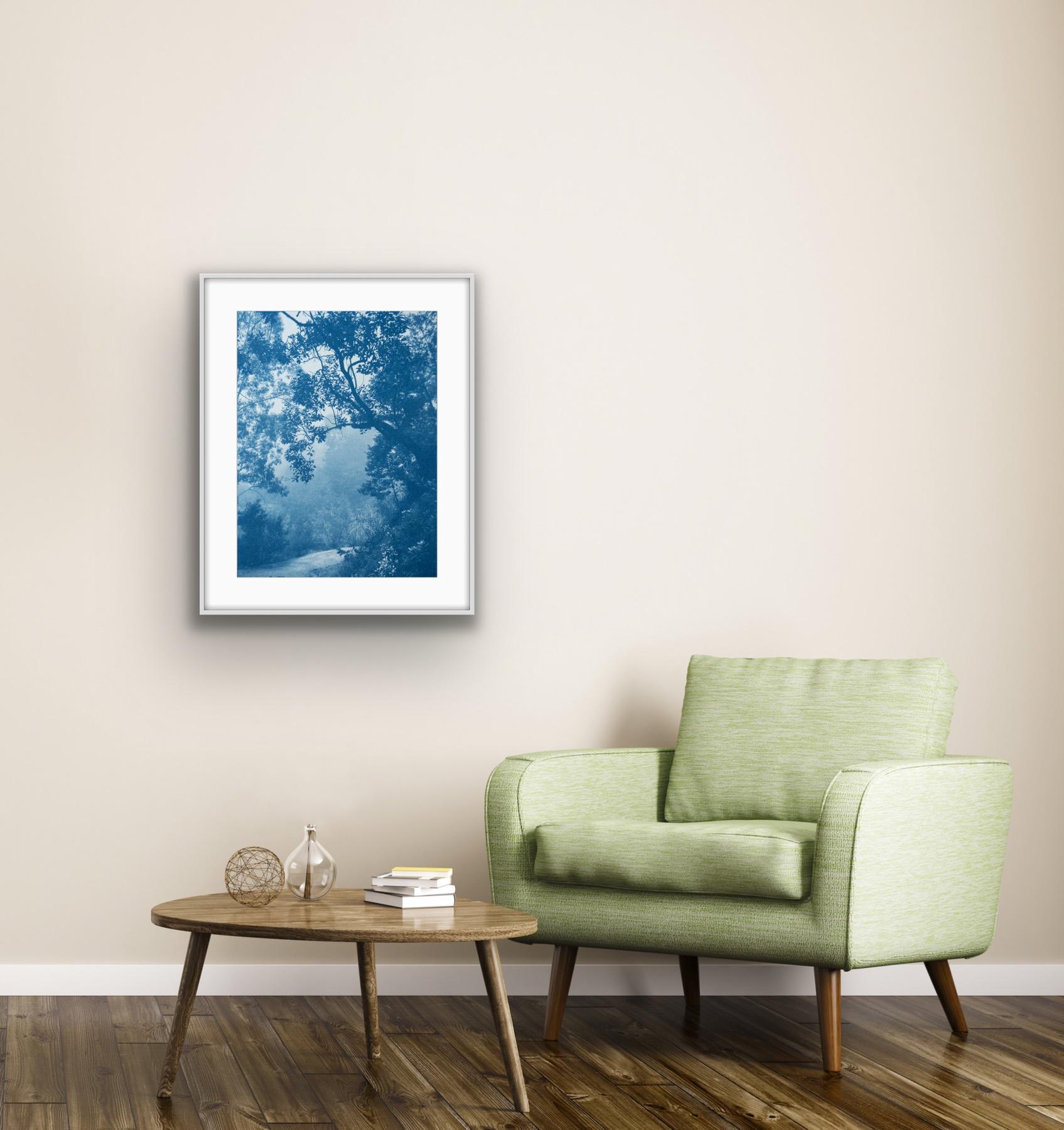 Madrone-Baum, Auflage 8 von 10 Exemplaren  (handgedruckte Cyanotypie, 24 x 18 Zoll) (Blau), Landscape Print, von Christine So