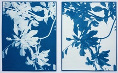 Diptyque Night and Day de Magnolia (Deux cyanotypes imprimés à la main de 8,5 x 11 pouces)