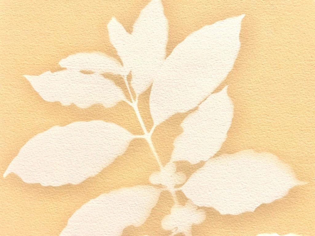 Midday Sun (18 x 24 inch hand-printed toned cyanotype) - Orange Still-Life Print by Christine So