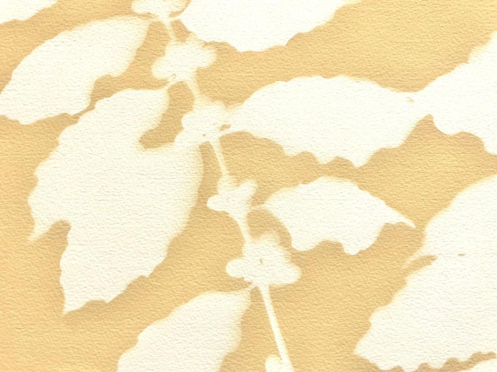 Though this unique monotype looks like a woodcut or linocut, it is not. This is a cyanotype, a kind of lensless photography dating back to the 1800s. This butter yellow cyanotype started as a blueprint but was 
