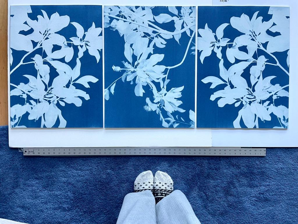Il s'agit de trois photographies distinctes de 24 x 18 pouces imprimées à la main selon le procédé du cyanotype, vieux de 170 ans. 

Non encadrées, côte à côte, elles s'étendent sur 24 x 54 pouces