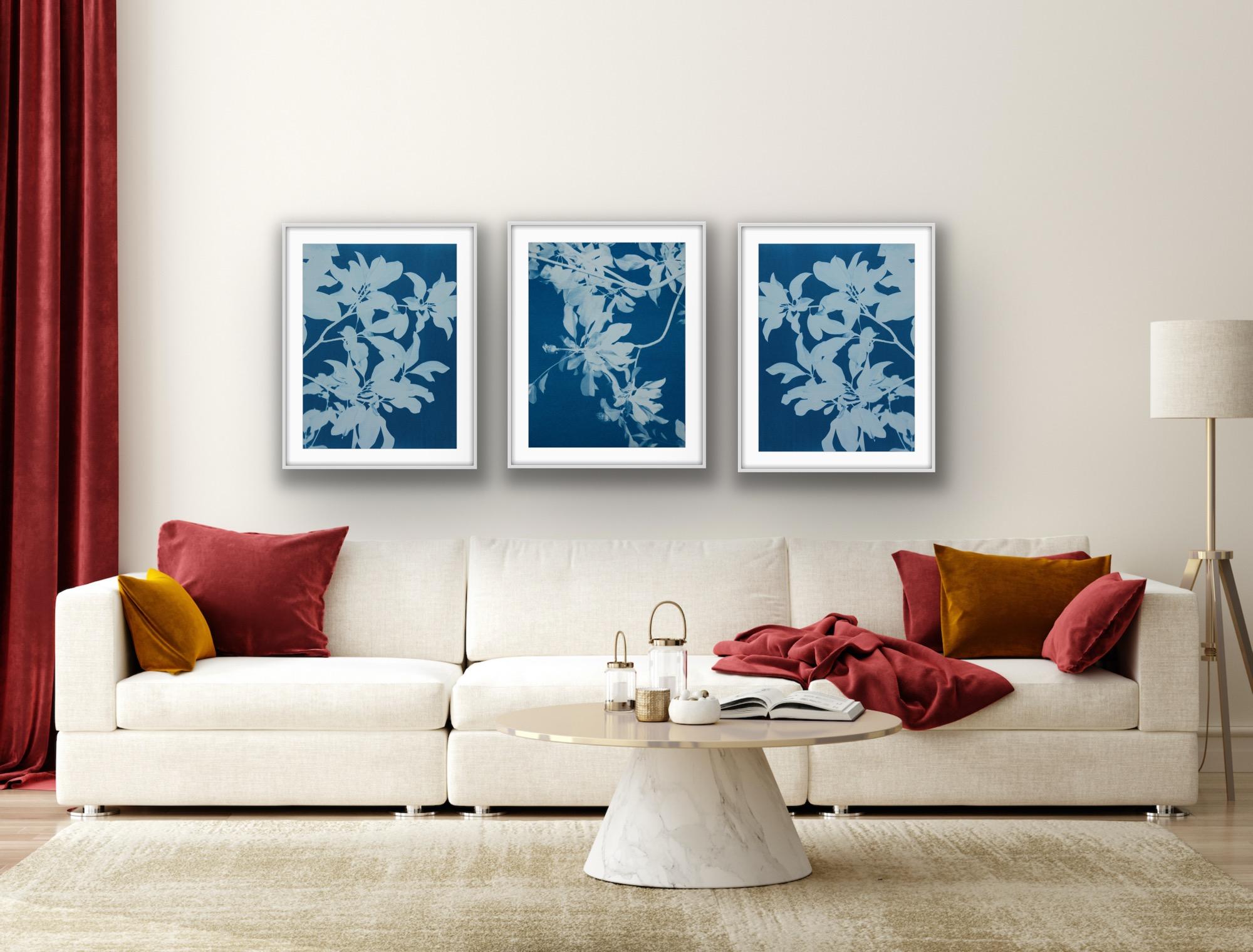 Triptyque de magnolias de minuit  (Trois cyanotypes de 24 x 18 pouces) en vente 1
