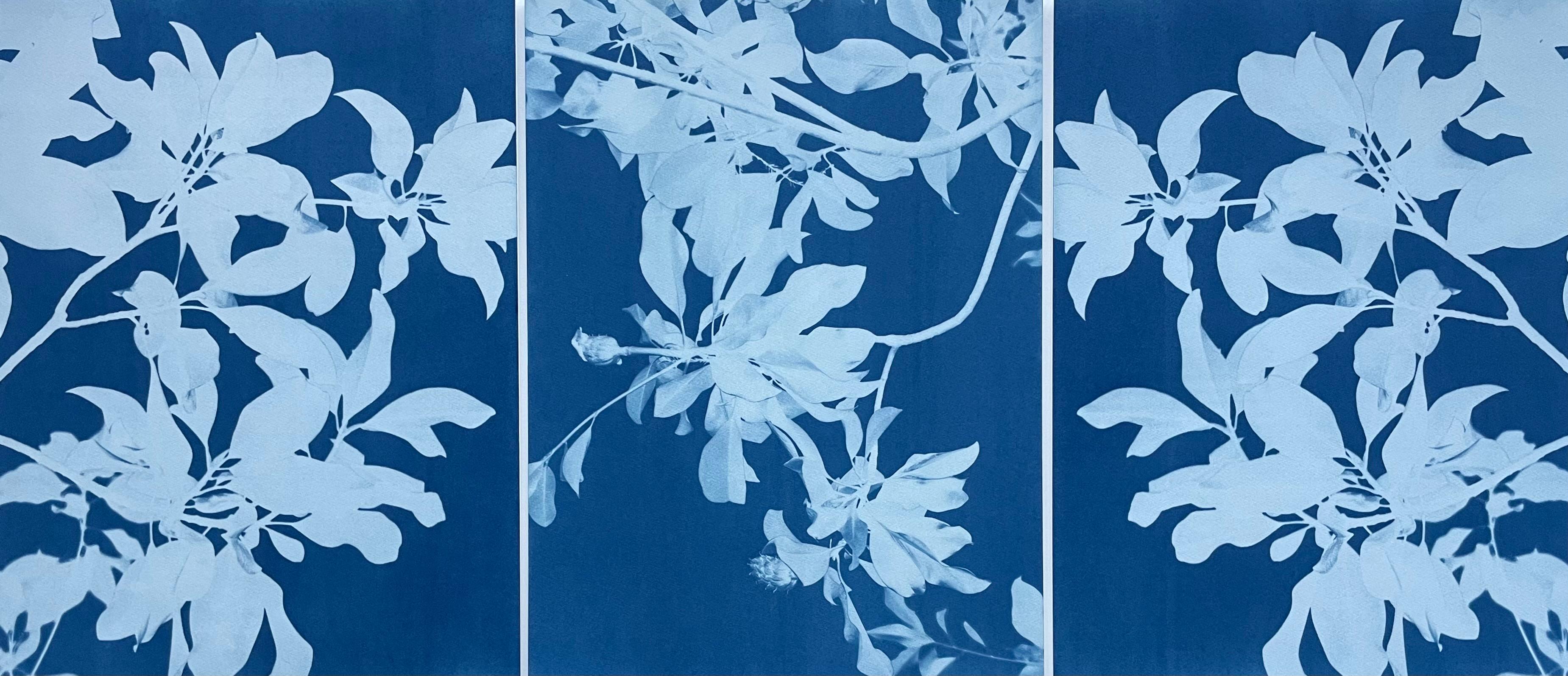 Outdoors Still-life Prints