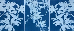 Midnight Magnolia Triptych  (Three 24 x 18 inch cyanotypes)