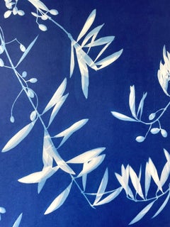 Mitternachtsolivenbäume (36 x 18 Zoll, handgedruckte botanische Cyanotypie)