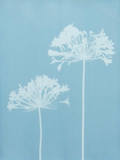 Misty Agapanthus 2 ( 24 x 18 inch hand-printed cyanotype)