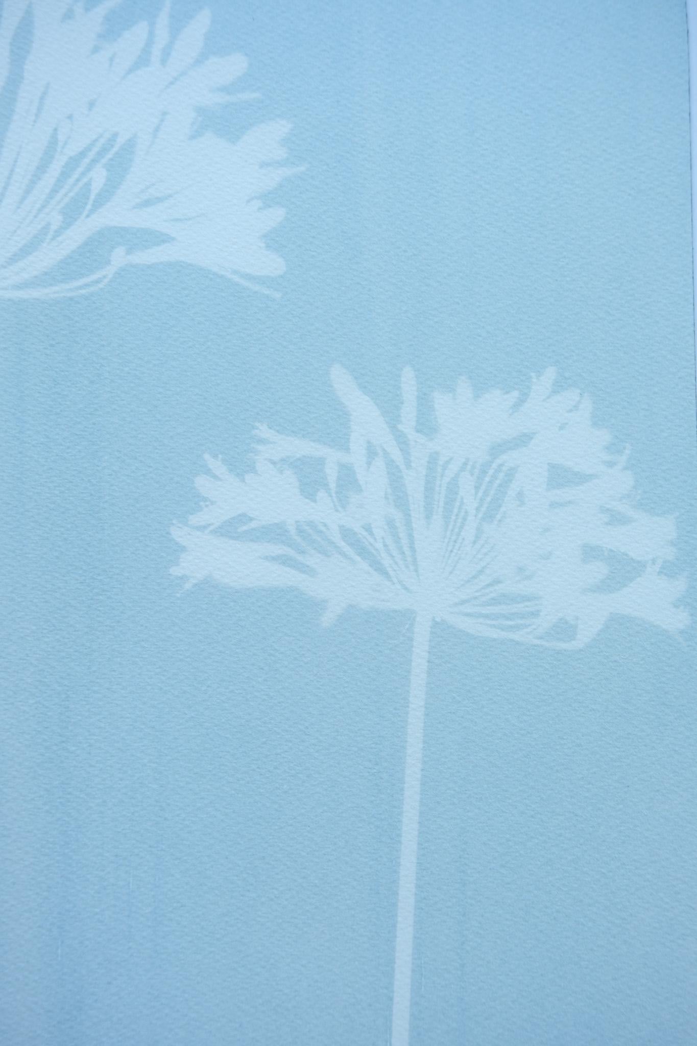 Agapanthe brumeuse (cyanotype imprimé à la main, 24 x 18 pouces) - Print de Christine So