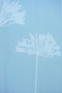 Agapanthe brumeuse (cyanotype imprimé à la main, 24 x 18 pouces)