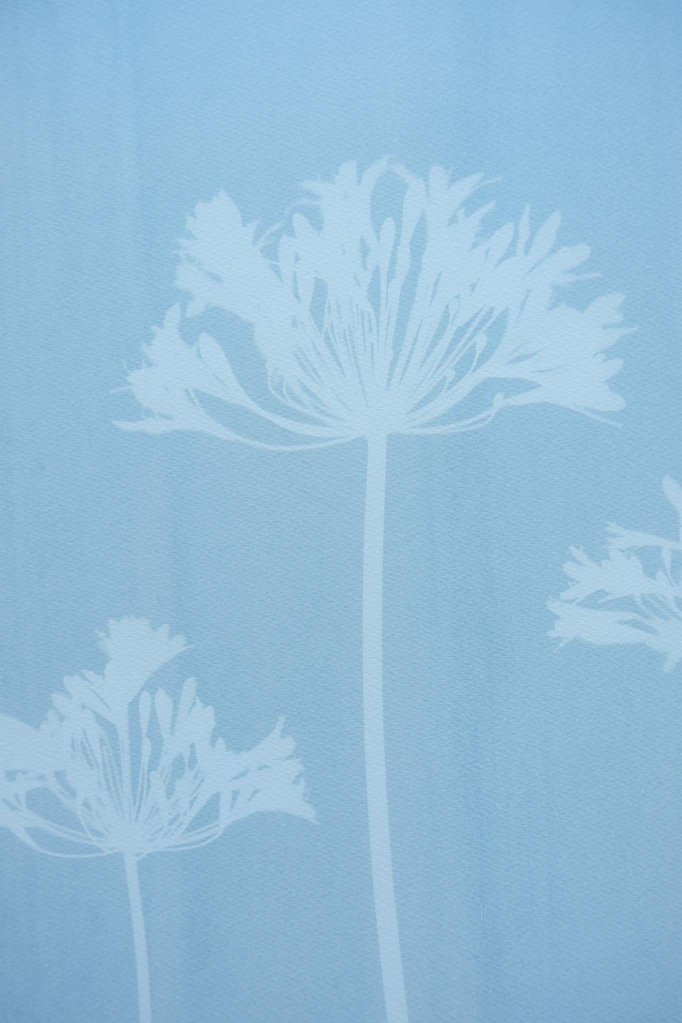 Agapanthe brumeuse (cyanotype imprimé à la main, 24 x 18 pouces) - Contemporain Print par Christine So
