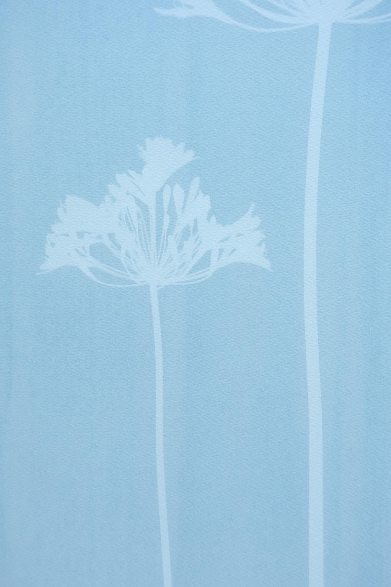 Agapanthe brumeuse (cyanotype imprimé à la main, 24 x 18 pouces) - Bleu Still-Life Print par Christine So