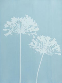 Misty Agapanthus 3 ( 24 x 18 inch hand-printed cyanotype)