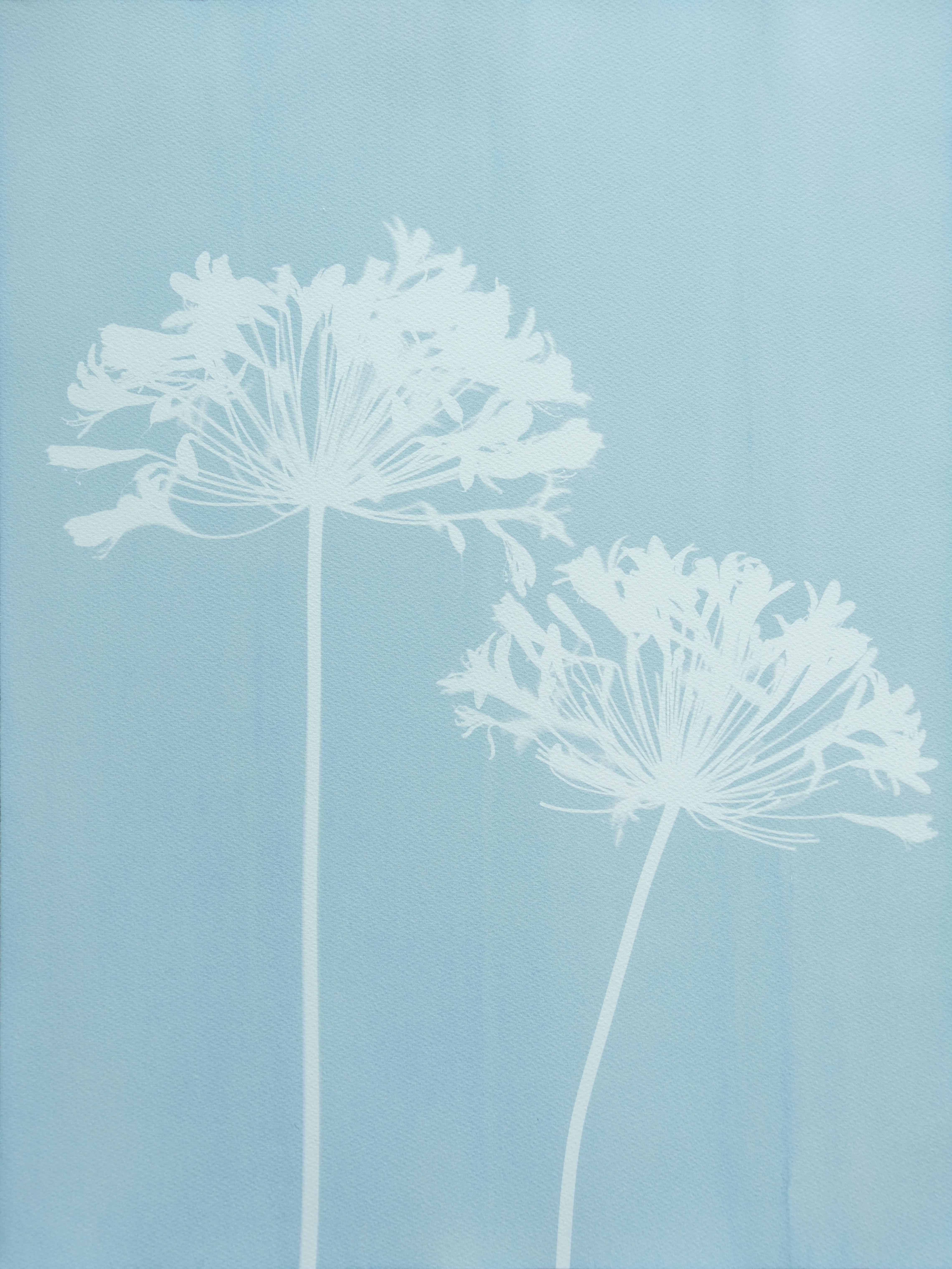 Misty Agapanthus Diptych ( Two 24 x 18