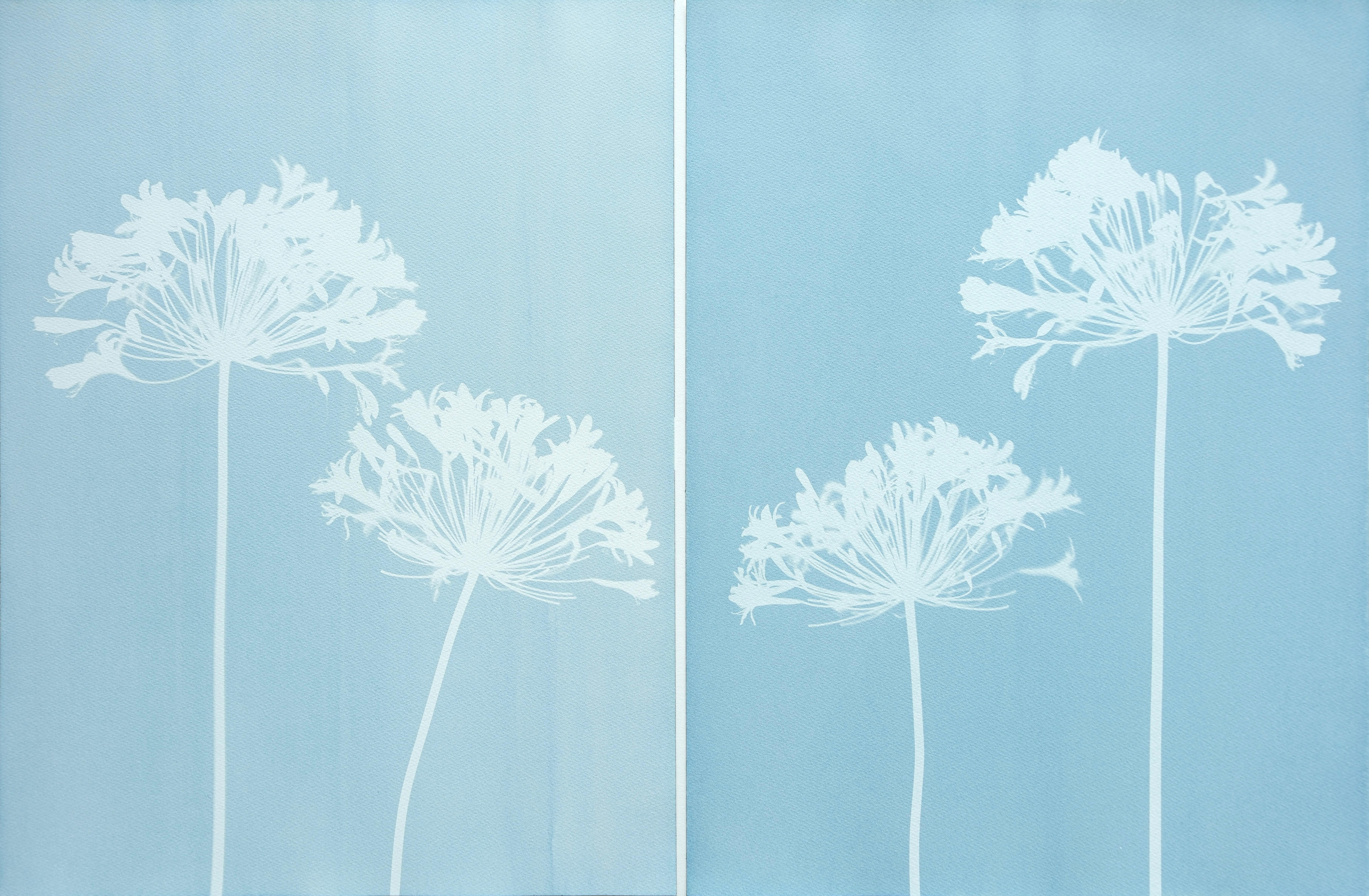 Misty Agapanthus Diptych ( Two 24 x 18" cyanotypes)