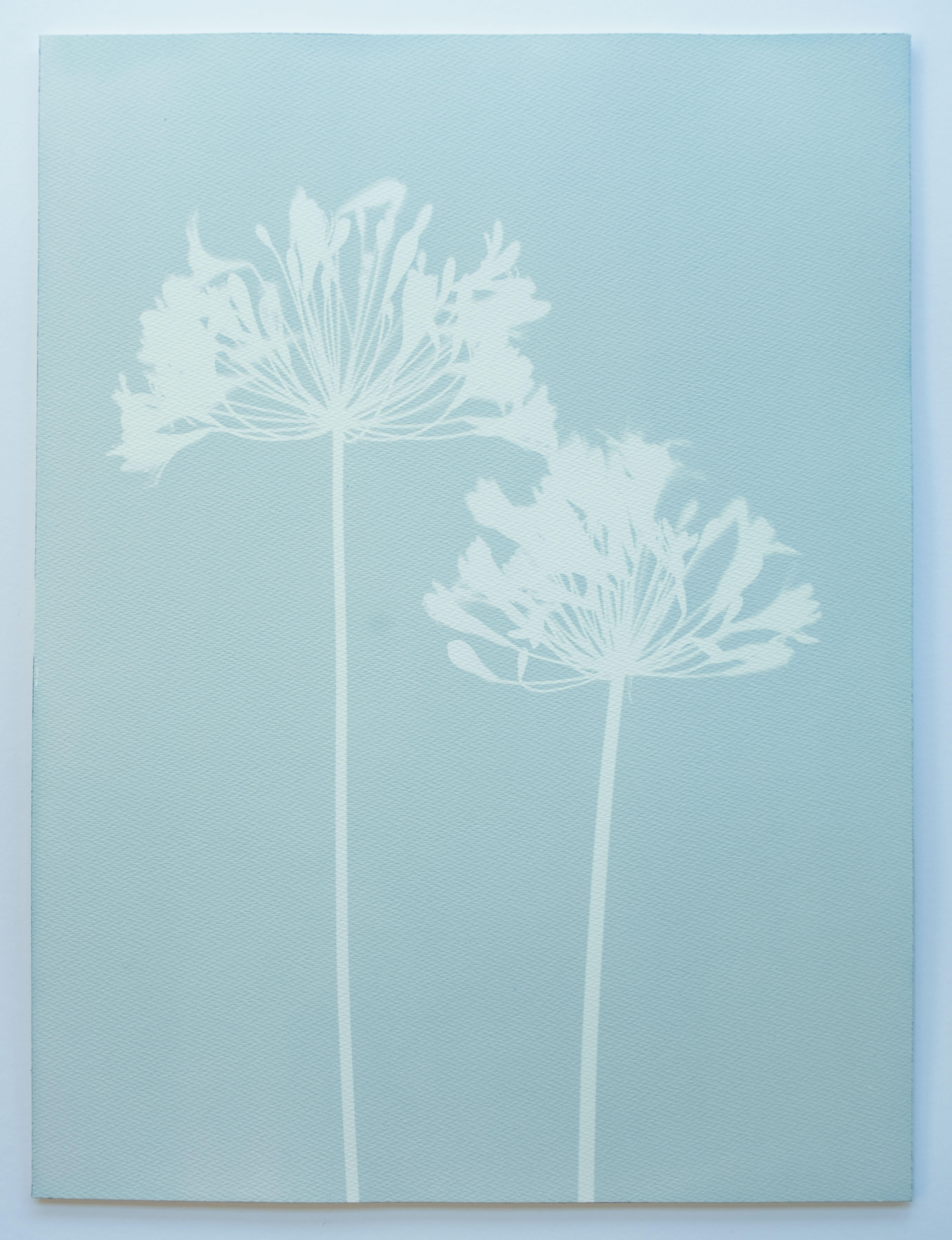 Misty Agapanthus IV (cyanotype imprimé à la main, 24 x 18 pouces) - Photograph de Christine So