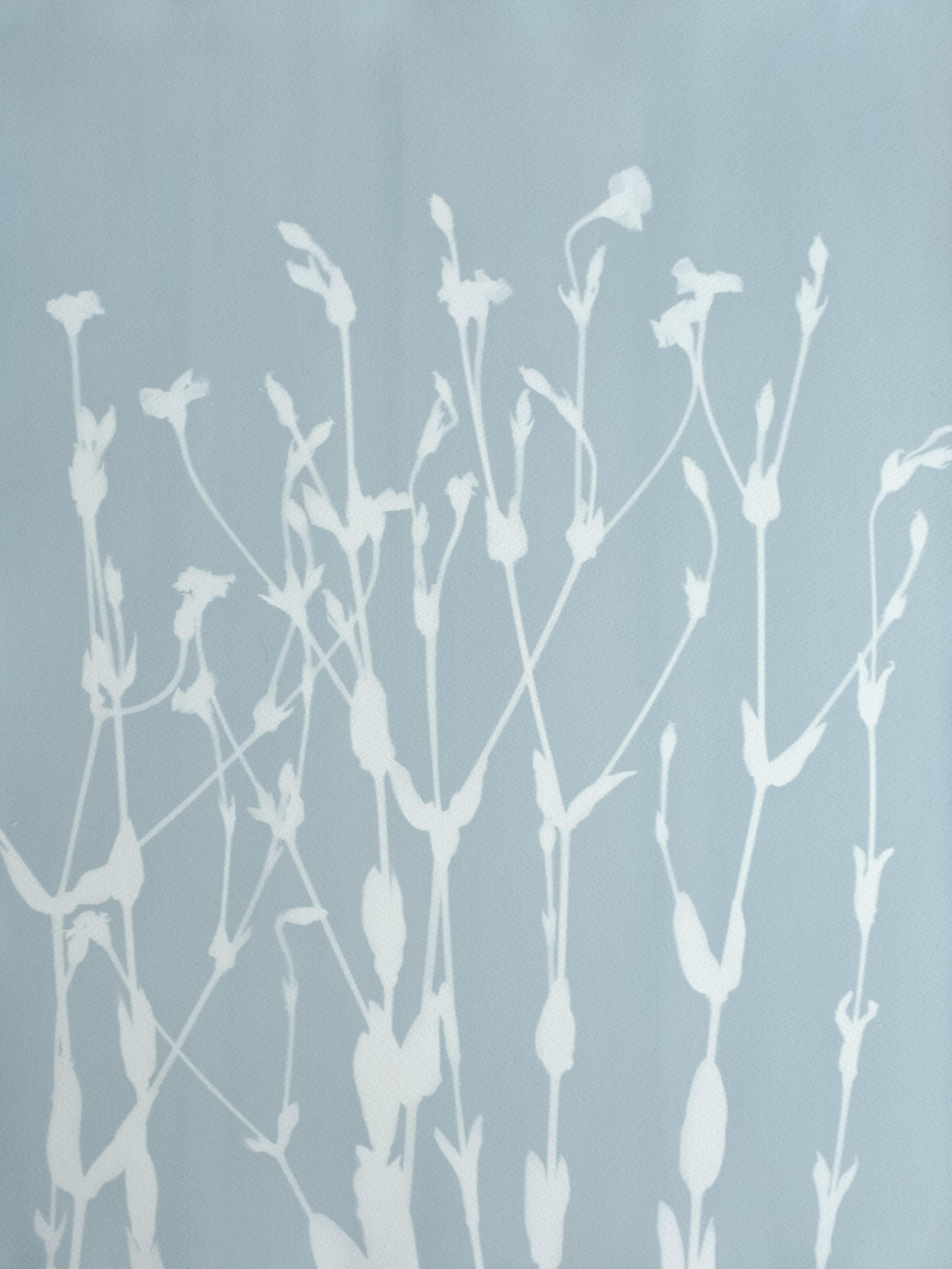 Christine So Still-Life Print - Misty June Wildflowers ( 24 x 18 inch hand-printed cyanotype)