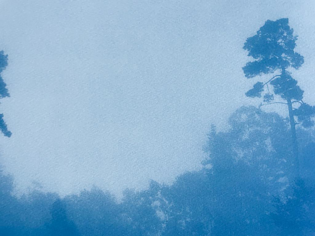 Misty Slope, Auflage 1 von 10 (handgedruckte Cyanotypie, 11 x 17 Zoll) (Zeitgenössisch), Print, von Christine So