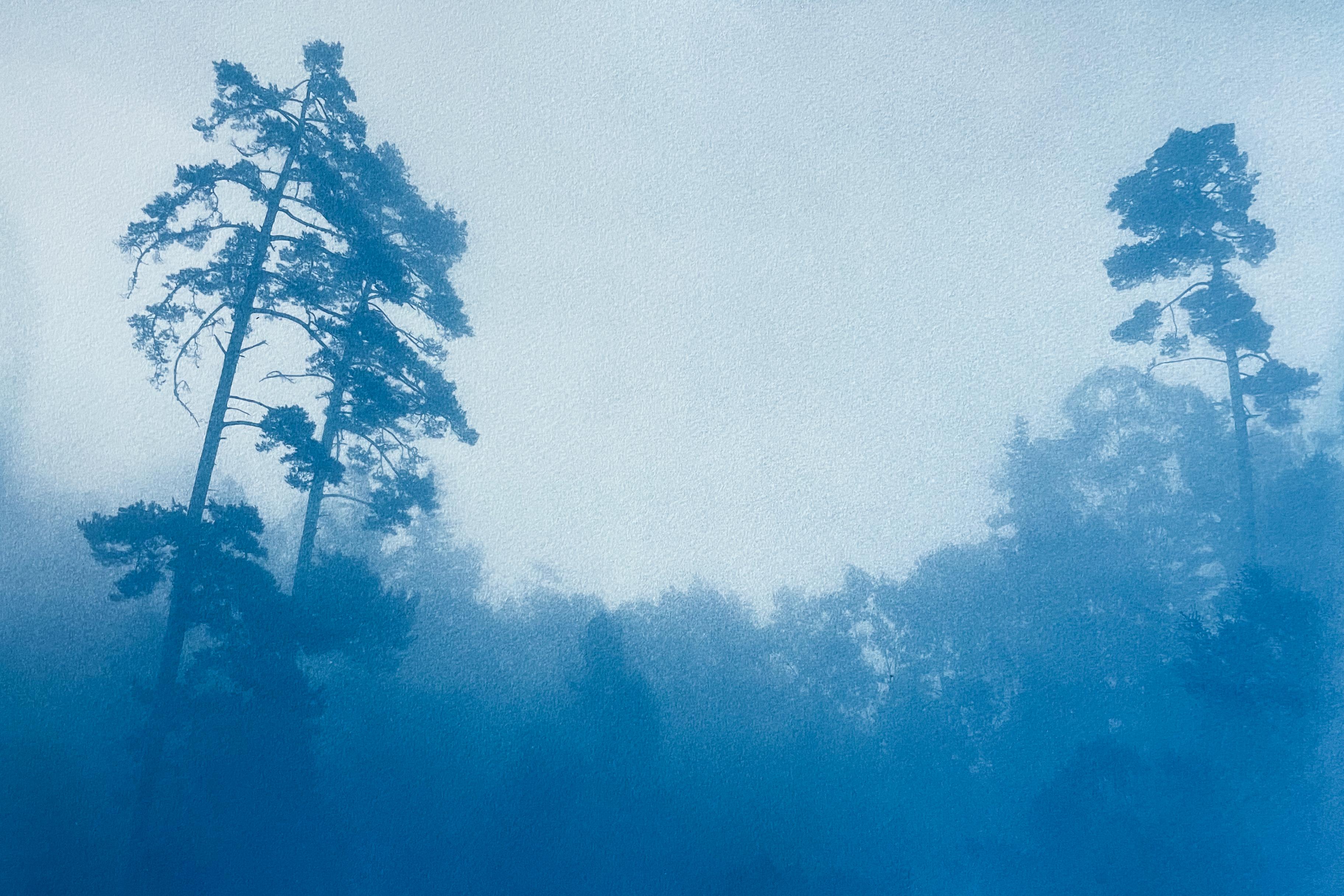 Misty Slope, Auflage 1 von 10 (handgedruckte Cyanotypie, 18 x 24 Zoll) (Blau), Landscape Photograph, von Christine So