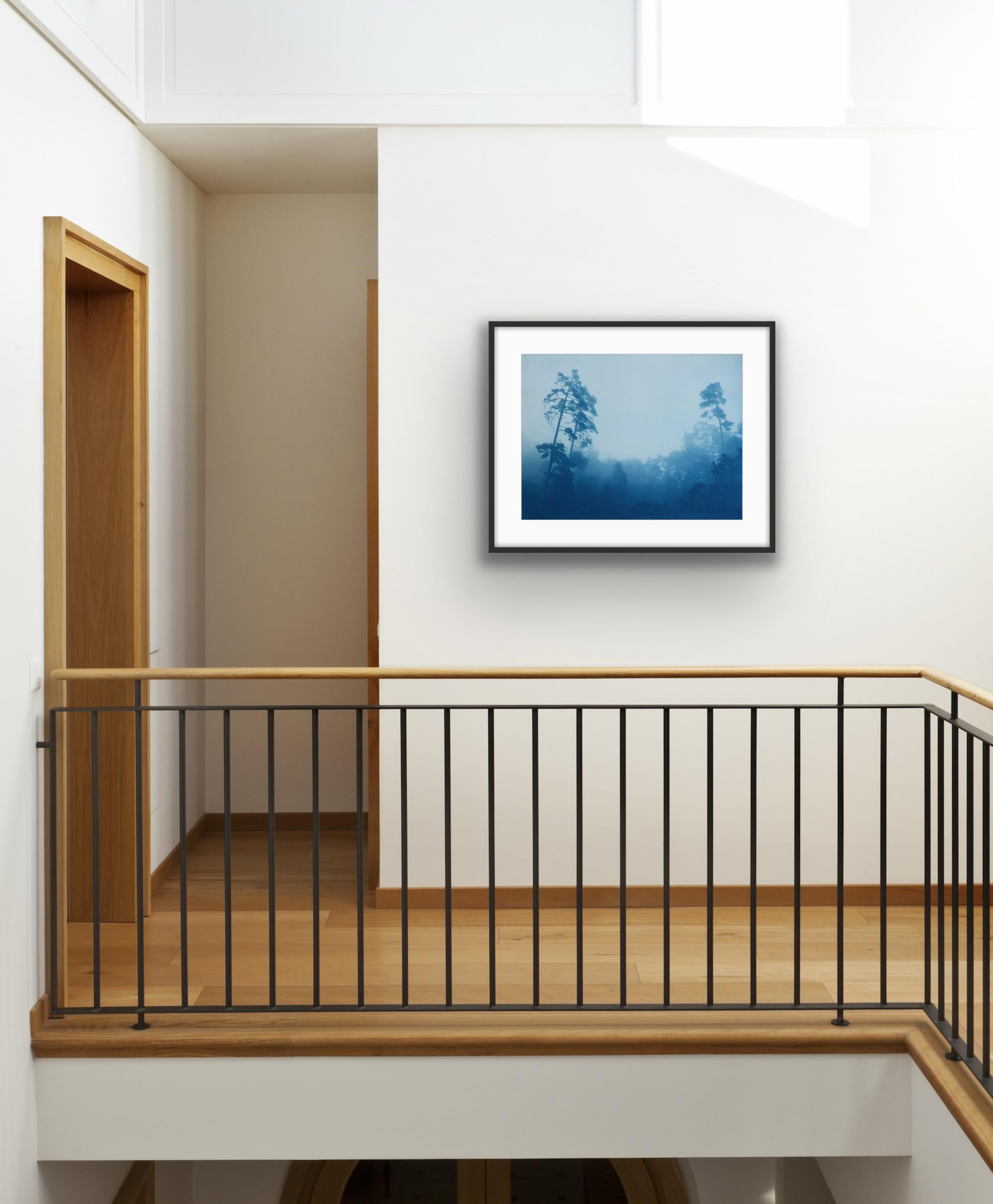 Misty Slope, Auflage 1 von 10 (handgedruckte Cyanotypie, 18 x 24 Zoll) im Angebot 2