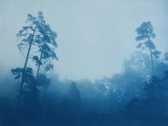 Misty Slope, Auflage 1 von 10 (handgedruckte Cyanotypie, 18 x 24 Zoll)
