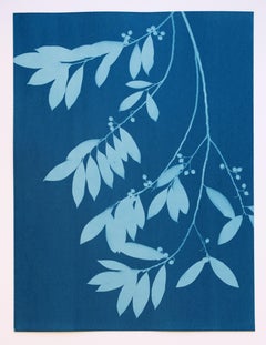 „Moonlight Laurel IV“ (24 x 18 Zoll, handgedruckte Cyanotypie)