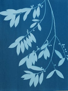 „Moonlight Laurel IV“ (24 x 18 Zoll, handgedruckte Cyanotypie)
