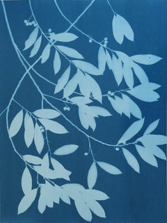 Moonlight Laurel Triptych (3 original cyanotypes: total 24 x 54" wide)